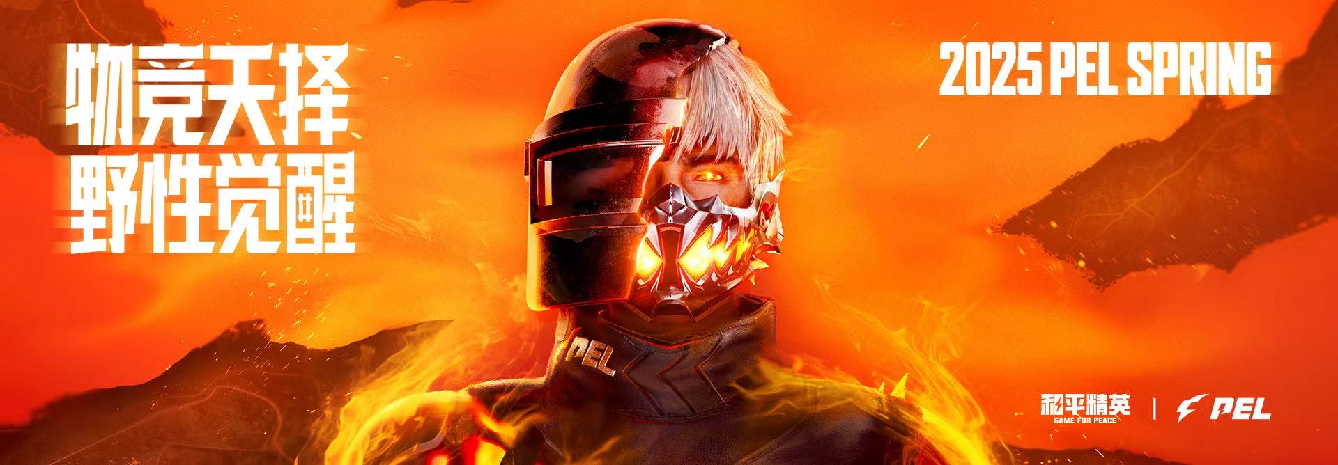 和平【涂山红红】辅助轻便直装工具,重现丝滑畅快体验